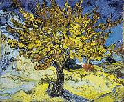 Mulberry Tree Vincent Van Gogh